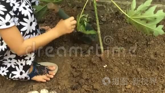 女孩在植树视频