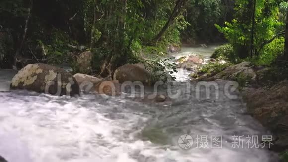 热带雨林和带岩石河的神奇景色视频