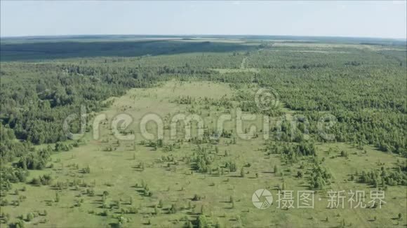 七月的森林。 一条长满草的森林道路。 田野里长满了森林。 从空中射击。