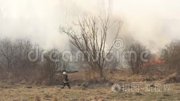 消防人员在火灾、春季、火灾危险和大量烟雾中扑灭干草和燃烧的森林