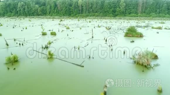 水污染生态系统飞越绿色沼泽视频