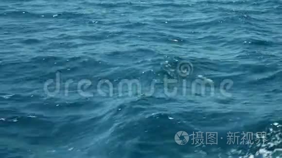 黎明前海水泛起涟漪视频