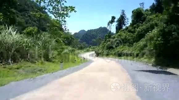 长长的丛林道路，绿树旁有黑白两色的树杆