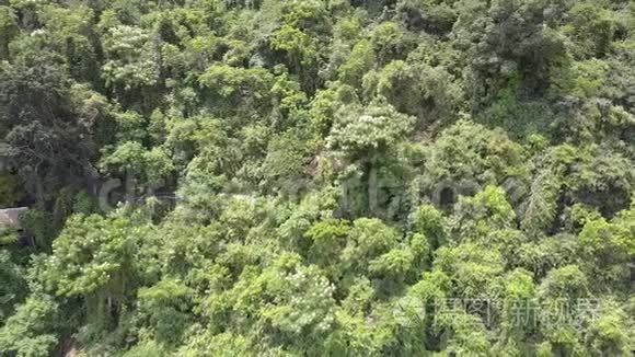 亚洲建筑隐藏在丛林中的鸟瞰山