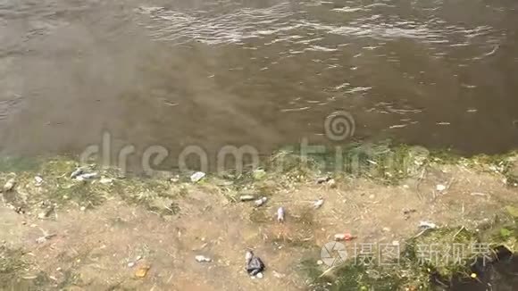 塑料瓶和河里的垃圾