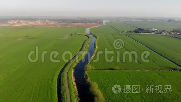 荷兰放牧的绿田和运河