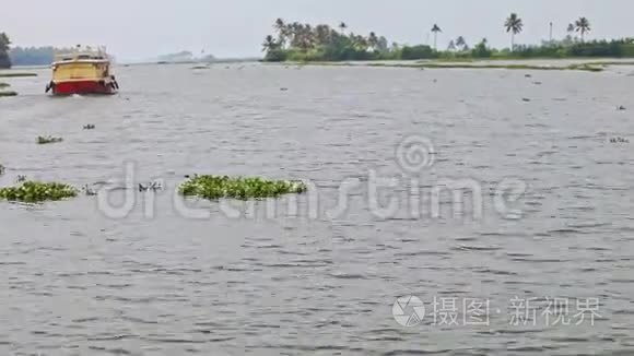 旅游船在热带地区沿宽河移动视频