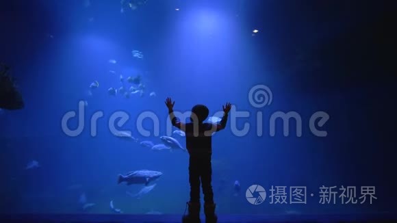 许多鱼在水族馆里游泳，有光线，深海世界