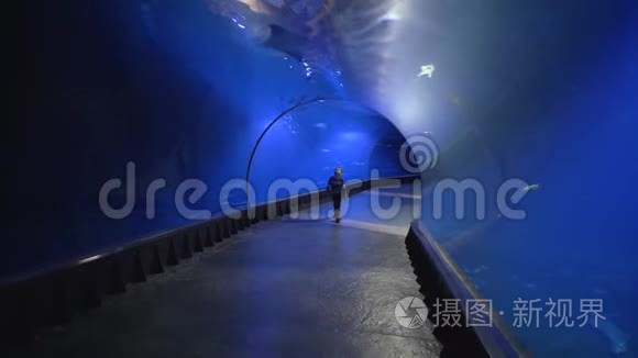 旅游儿童走在水族馆的隧道里，欣赏地看着不同的鱼在蓝水中游泳