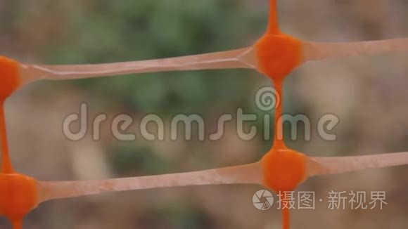 橙色焊接塑料花园网作为草坪围栏.. 特写镜头。 摄像机沿着细胞移动。 春天的青草可见