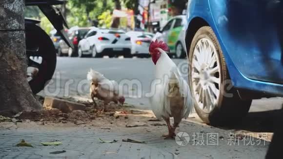 走在大城市的街道上。 河内。 越南