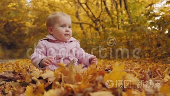 小女孩坐在秋叶上视频