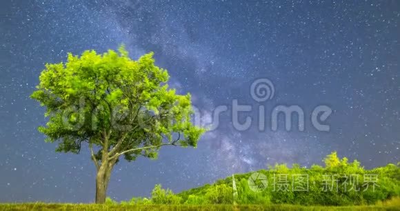 梅花树银河夜空落星视频