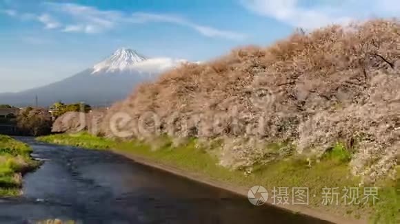 富士山及樱花时间流逝