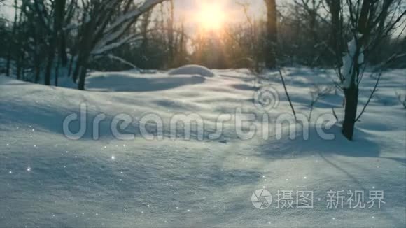 雪和太阳的童话视频