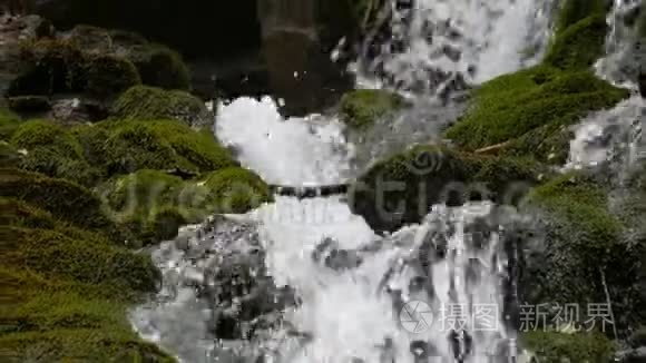 水流在石头间流动. 清澈的水很快就从山下流下来，围绕着黑湿的石头，里面有苔藓