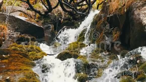 水流在石头间流动. 清澈的水很快就从山下流下来，围绕着黑湿的石头，里面有苔藓