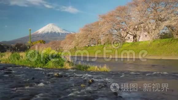 富士山及樱花时间流逝视频