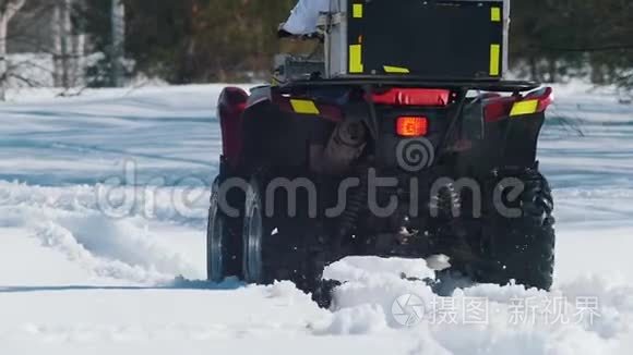 白天的冬天森林。 一个有姜发的女人白天骑雪车