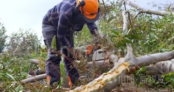 伐木工人在森林里砍树枝视频