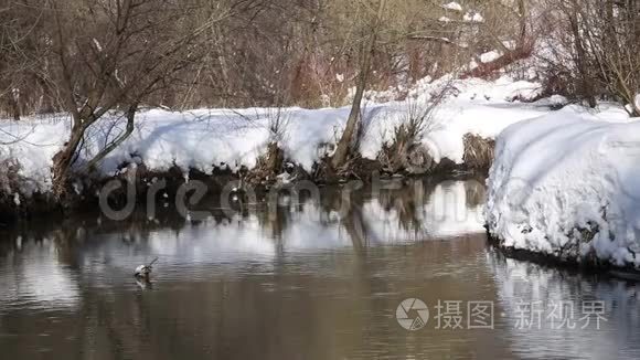 公园里的雪河曲线视频