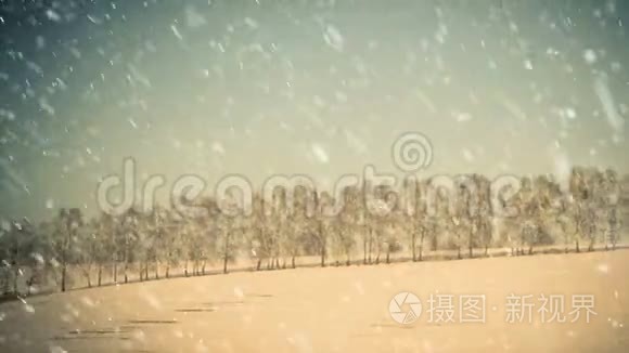 地平线上的冬山树视频