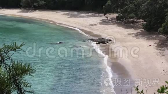 鲸鱼湾海滩视频