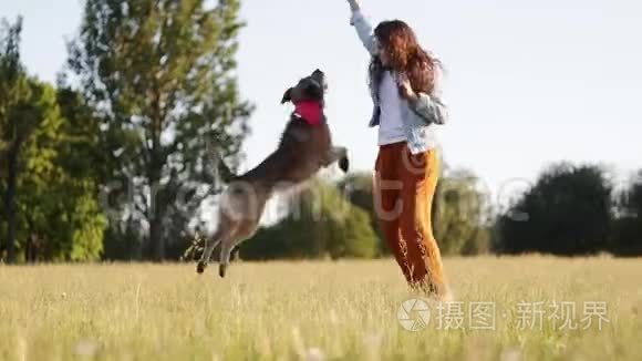 快乐的年轻白种人有着长长的卷发的女人正在和她的狗玩。