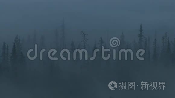诡异的雾气森林