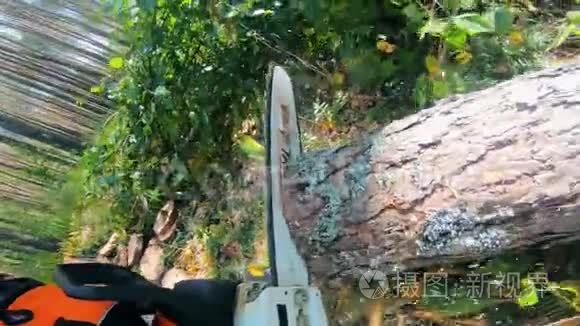 电锯正在砍伐森林中的树干视频