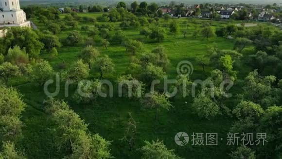 苹果园和古堡的夏季空中景色视频