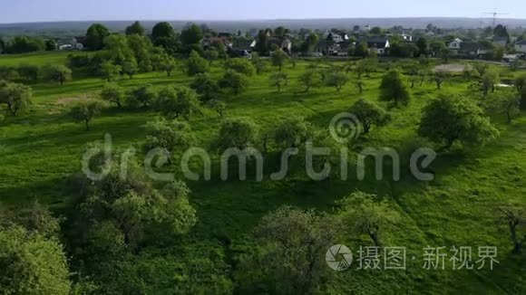 苹果园和古堡的夏季空中景色视频