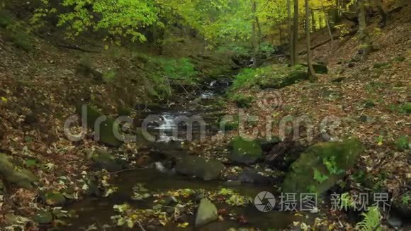 秋天山溪里清澈的水流视频