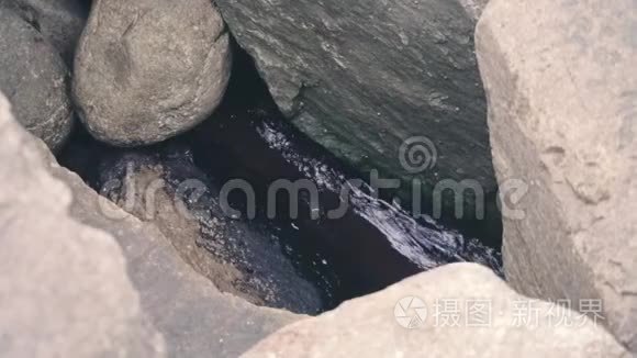 小海蟹躲在岩石中视频