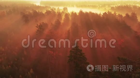 黎明时分，一架无人机在雾蒙蒙的铁路上缓慢飞行，穿过秋天的森林。