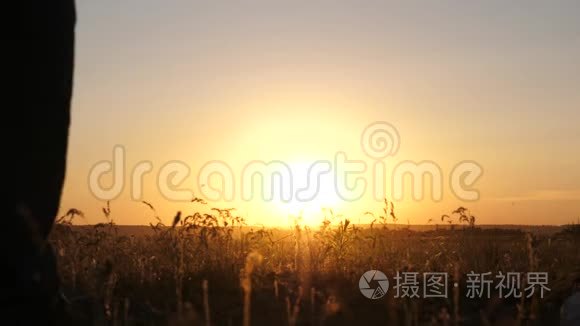 幸福的家庭在夕阳下漫步在田野里。 爸爸妈妈和女儿在阳光下在公园里散步。 儿童和