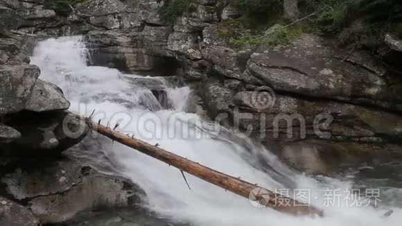 山泉水阻碍了森林中的河流视频