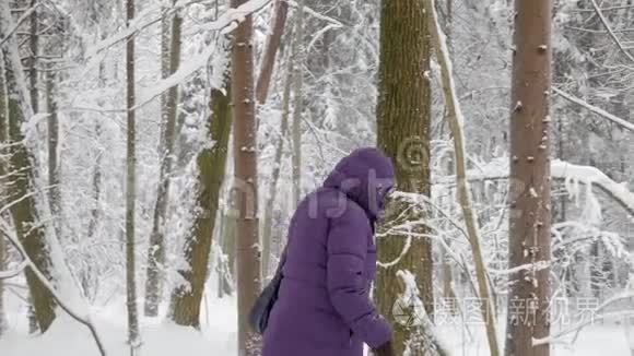 穿冬装的女人带着兜帽艰难地穿过冬林