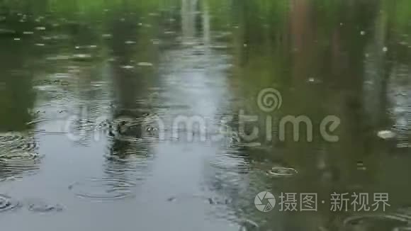 雨水落在绿茵环绕的湖面上视频