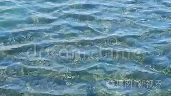 沿海湖泊的潮汐特写视频