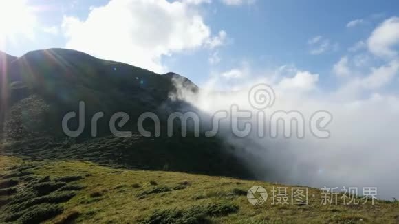 森林谷。 早上好，雾。 有树木的青山