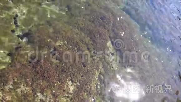 透明海水表面有阳光照射视频