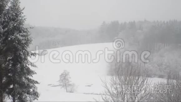 带森林的山上的暴风雪景观视频