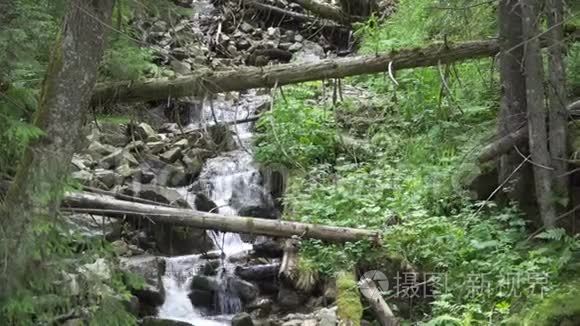林间山水溪视频