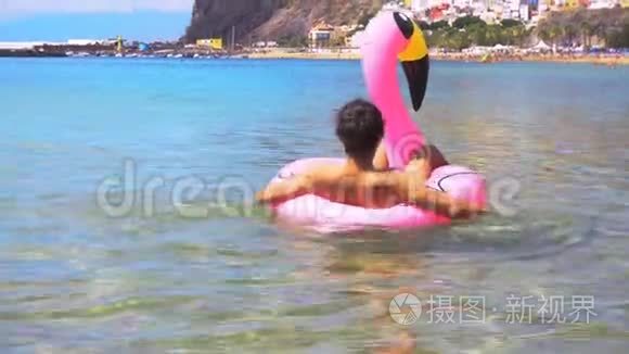 海滩上的粉色火烈鸟视频