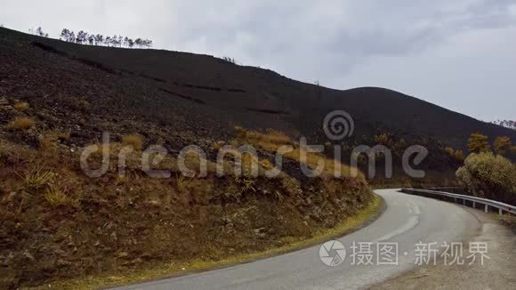 葡萄牙山上野火烧死了植被