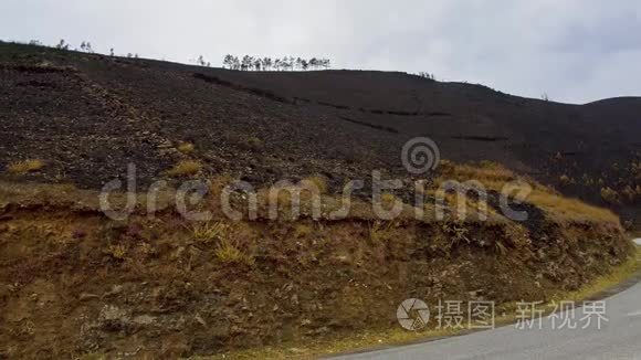 葡萄牙山上野火烧死了植被