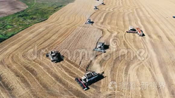 组合沿着田野移动，收割小麦