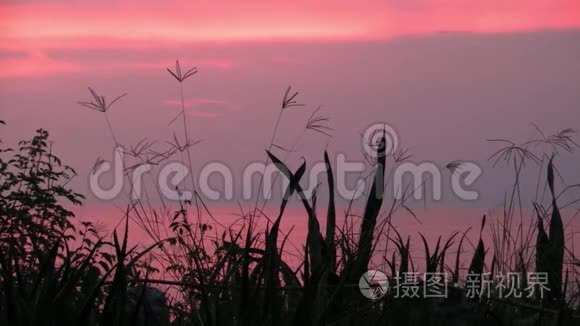 乌干达艾伯特湖浪漫的粉色日落