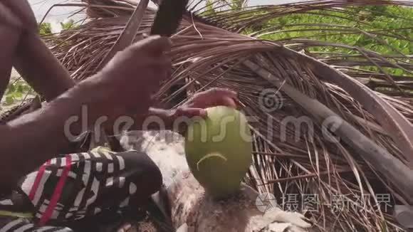准备椰子视频